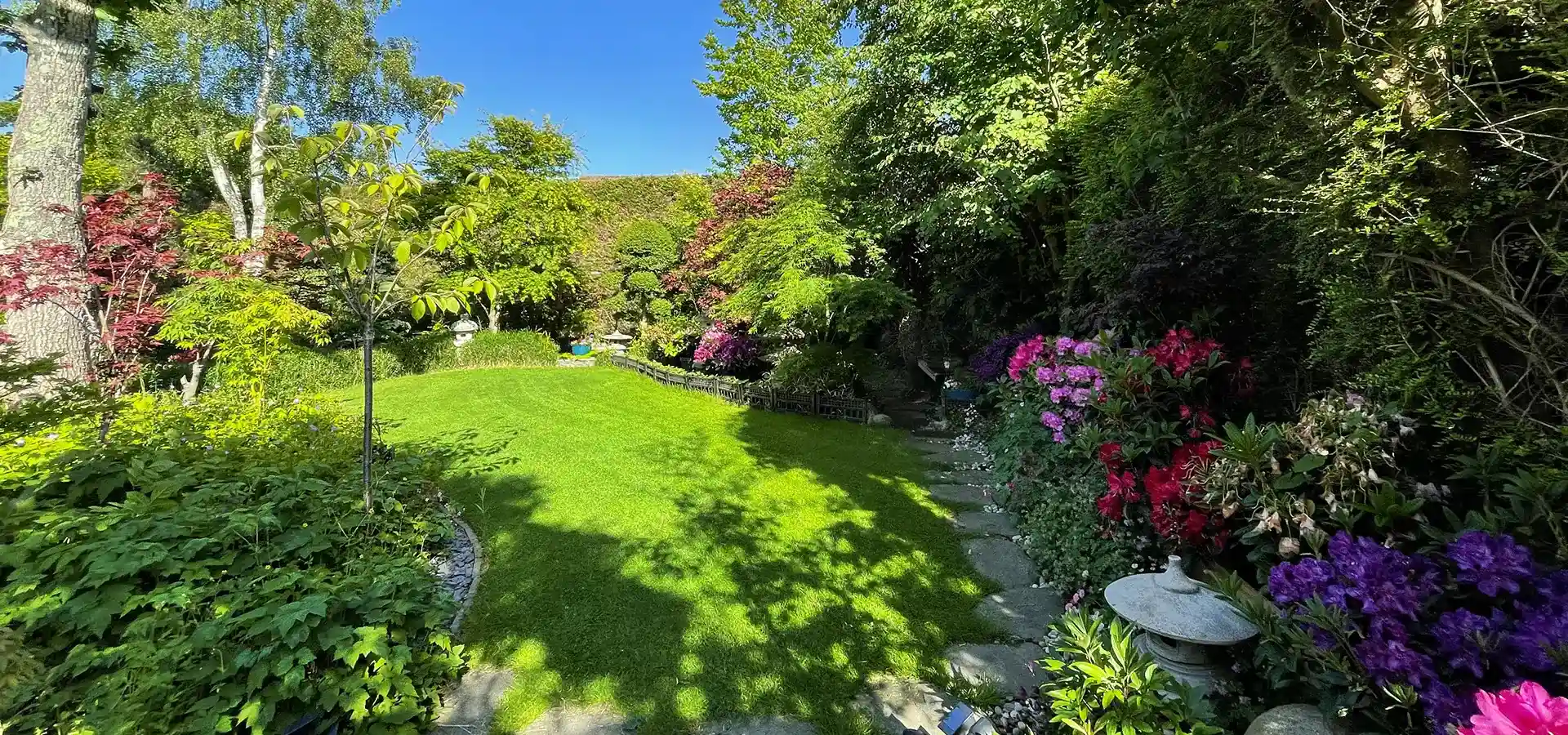 Roślinki w doniczkach